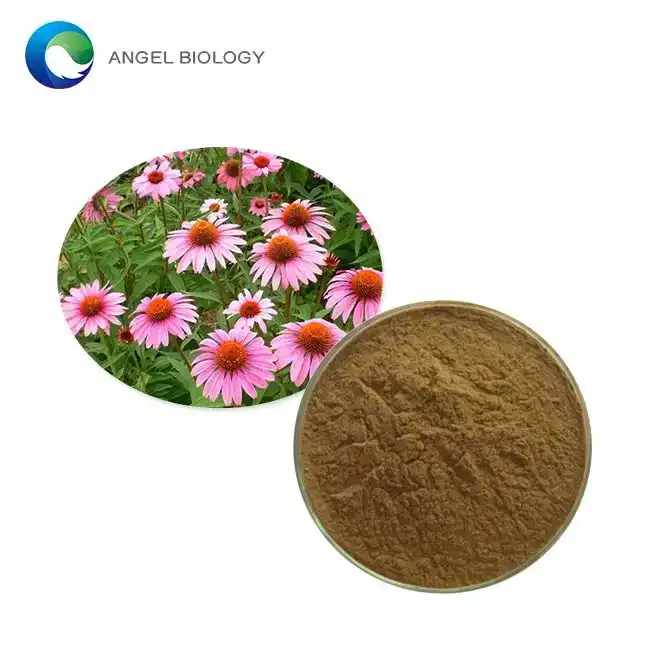 What are Echinacea Extract Powder's Key Active Components?